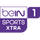 8K - BEIN SPORTS 1 XTRA SD logo